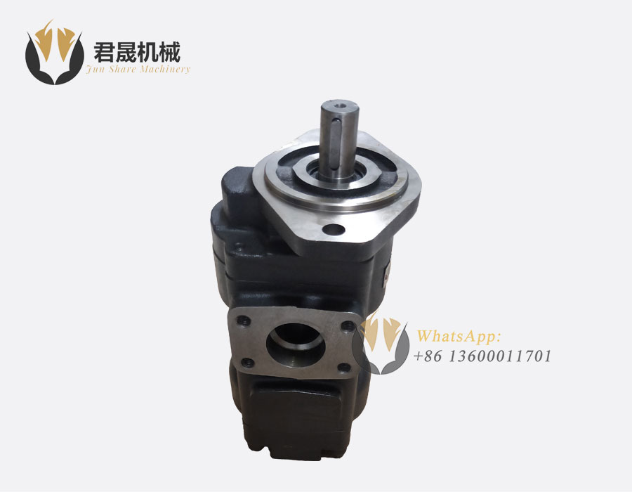 20-925579 20/925579 JCB Hydraulic Pump